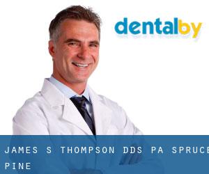 James S Thompson, DDS, PA (Spruce Pine)