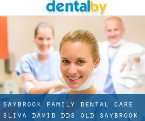 Saybrook Family Dental Care: Sliva David DDS (Old Saybrook)