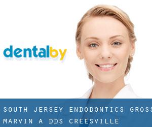 South Jersey Endodontics: Gross Marvin A DDS (Creesville)